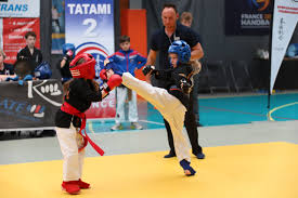 Sports Kempo Association: Shaping Champions for Tomorrow